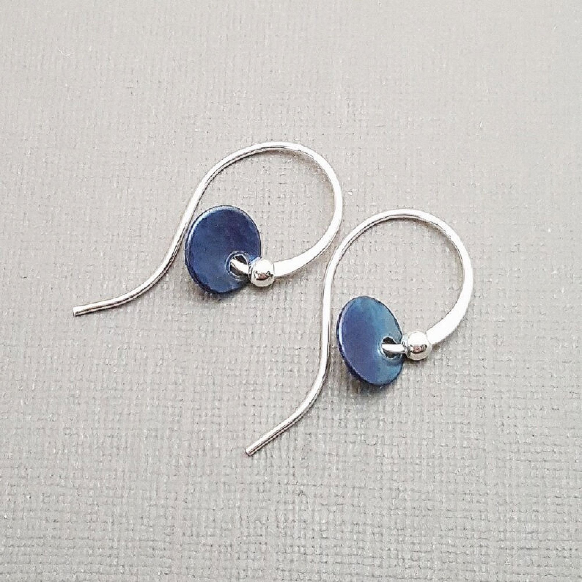 Titanium Disc Earrings