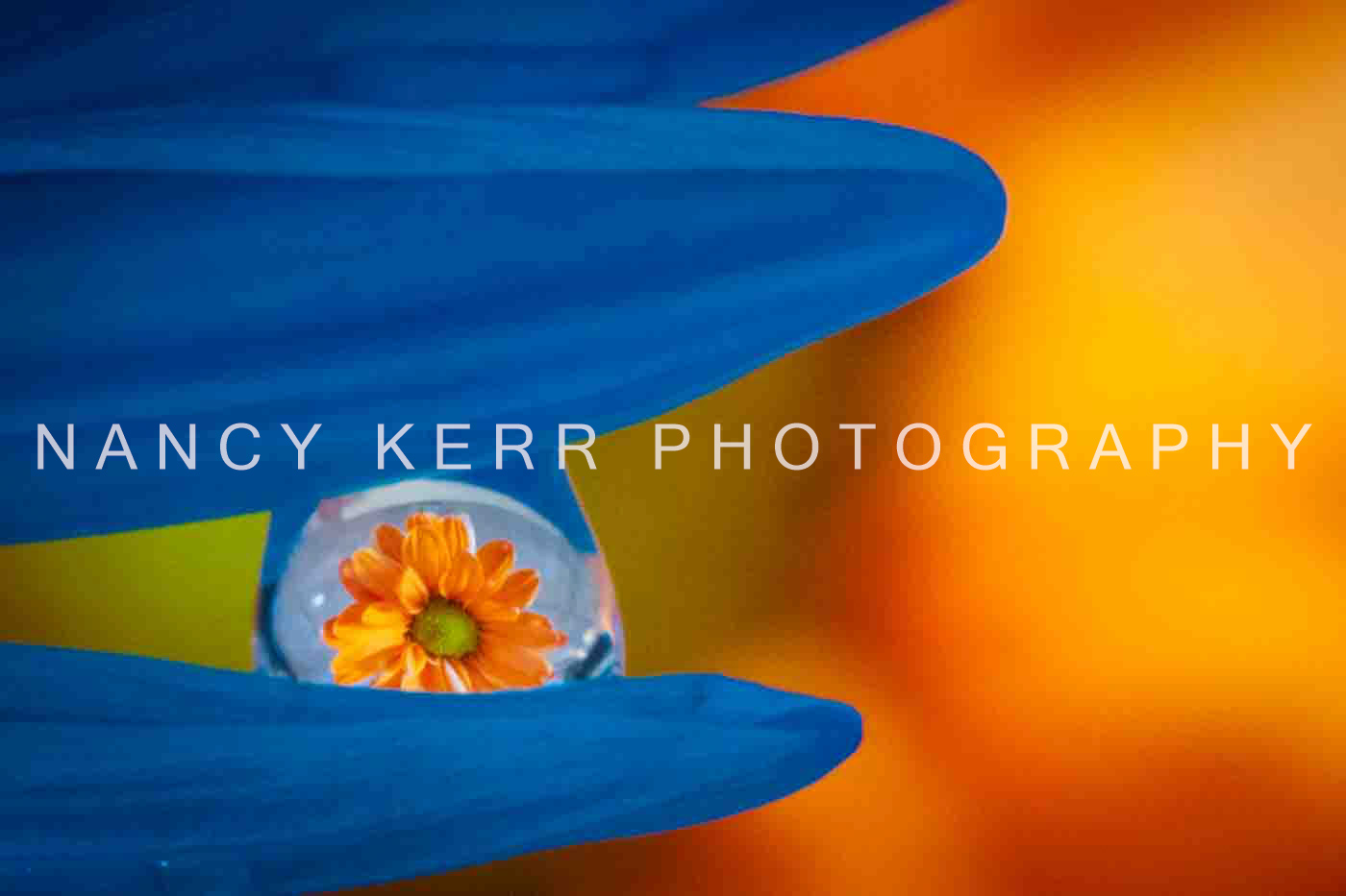 Beautiful Refraction 12x18 Print