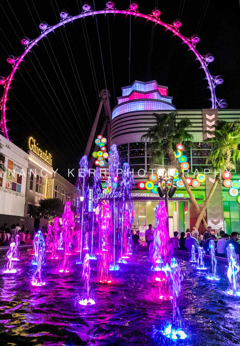 HighRoller 10x16 Print