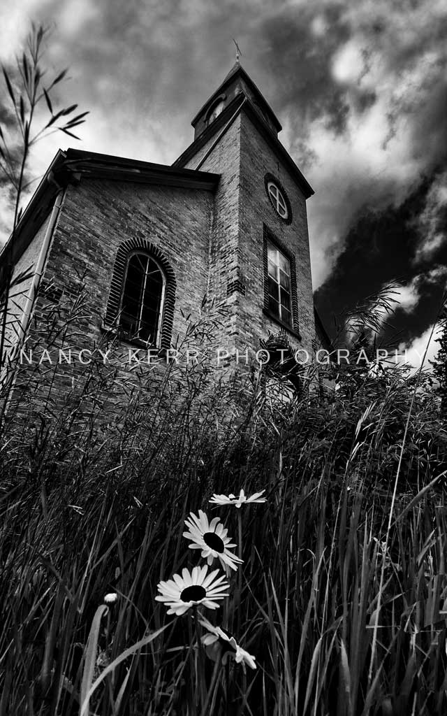 Hope Springs Eternal 10x16 Print