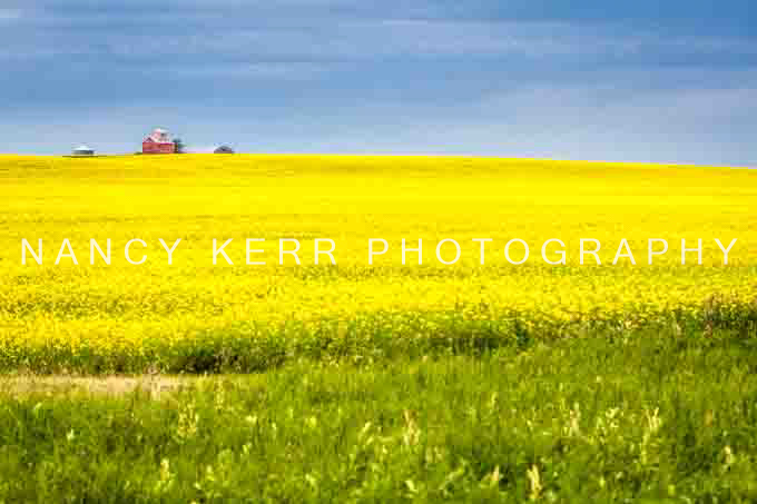 Little Farm On The Prairie