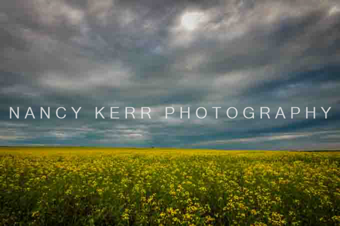 Prairie Sky 12x18 Print