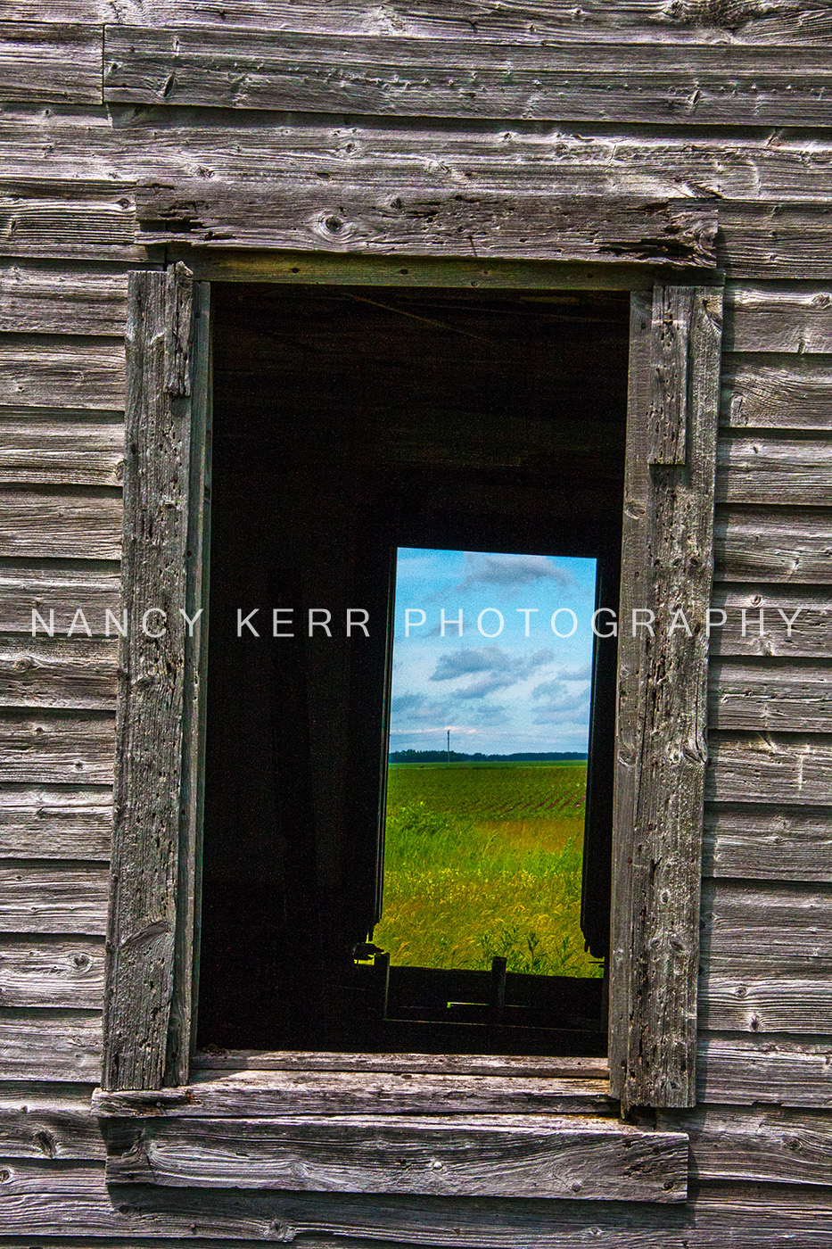 Through and Through 12x18 Print